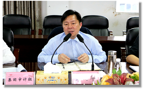 集團黨委委員、紀委書記彭向華強調(diào)審計整改工作要深挖思想根源(圖2)