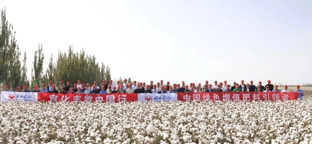 宜化豐收中國(guó)行！新疆棉花大型測(cè)產(chǎn)觀摩會(huì)成功舉行(圖1)
